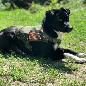 Tactical service dog vest